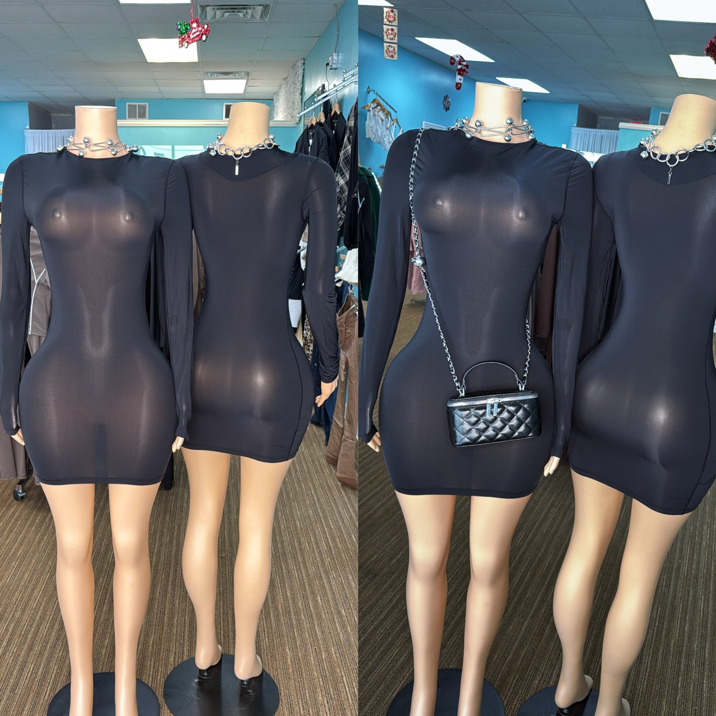 “Reveal” Sheer Dress