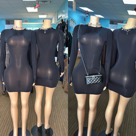 “Reveal” Sheer Dress
